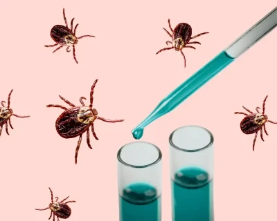 Прививка от клеща в 2026 году: где сделать, когда делать и схема вакцинации