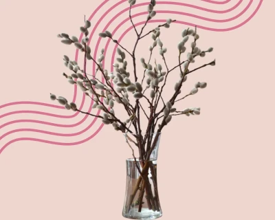 Вербное воскресенье в России: что это за день и как отметить его с ребёнком