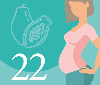 22-я неделя беременности