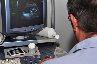 Виды УЗИ при беременности