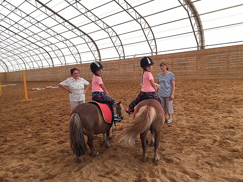 Где найти английскую няню