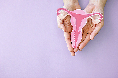 Сколько матка сокращается после родов — норма и отклонения