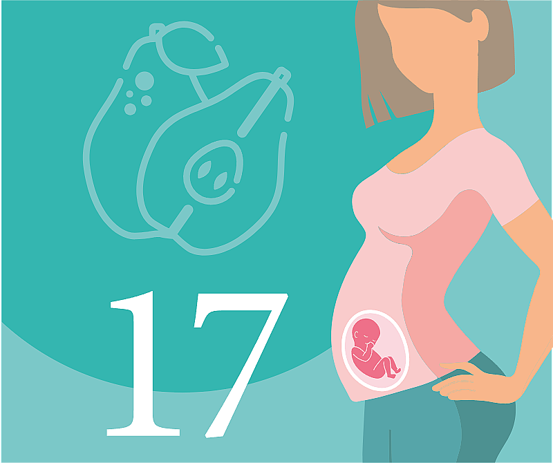 17 недель беременности