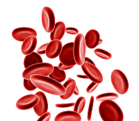 Кровотечения у беременных: причины и симптомы