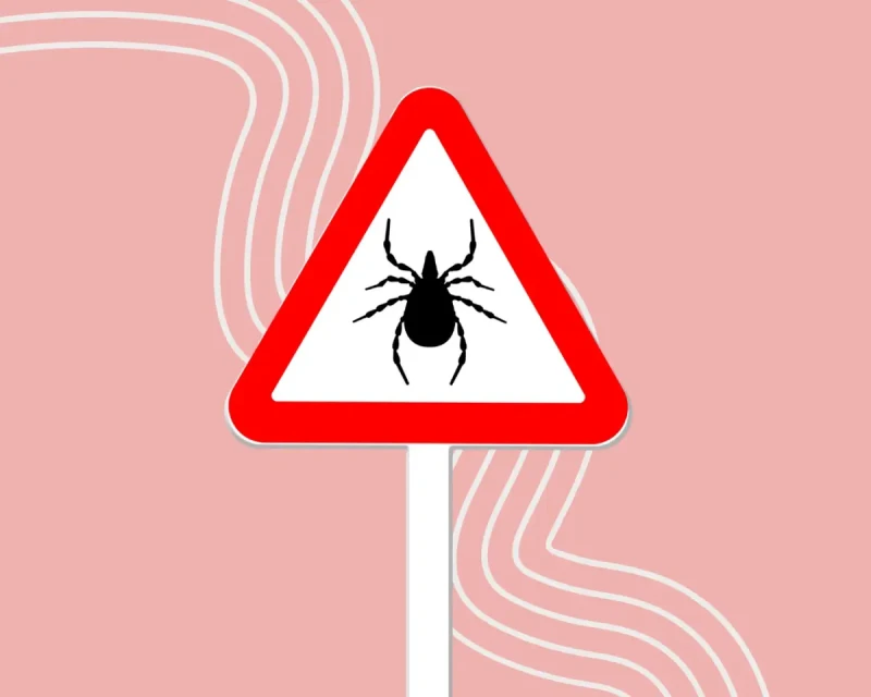 Что делать, если укусил клещ: 5 шагов