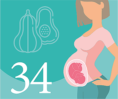 34 неделя беременности