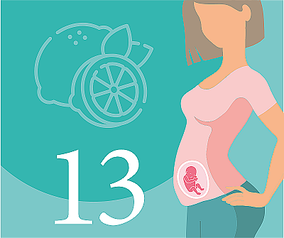 13 недель беременности — что происходит, развитие плода, ощущения