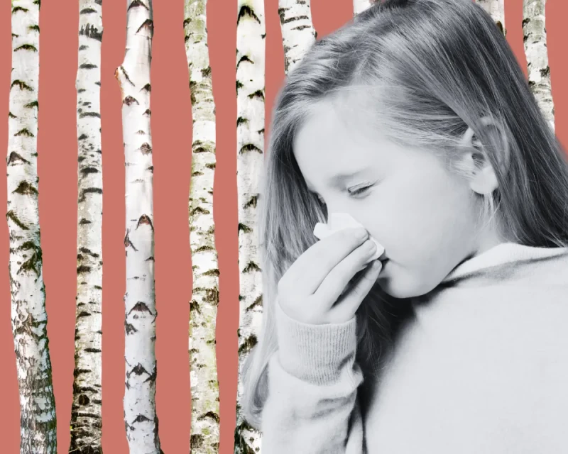 Аллергия на цветение у детей: какие анализы нужны и чем помочь ребенку