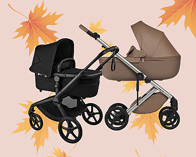 Лучшие коляски 2 в 1 для осеннего новорождённого: советы и лучшие модели