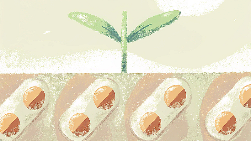 Папаверин при беременности: показания и безопасность