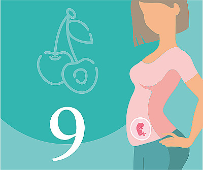 9 недель беременности — что происходит, развитие плода, ощущения