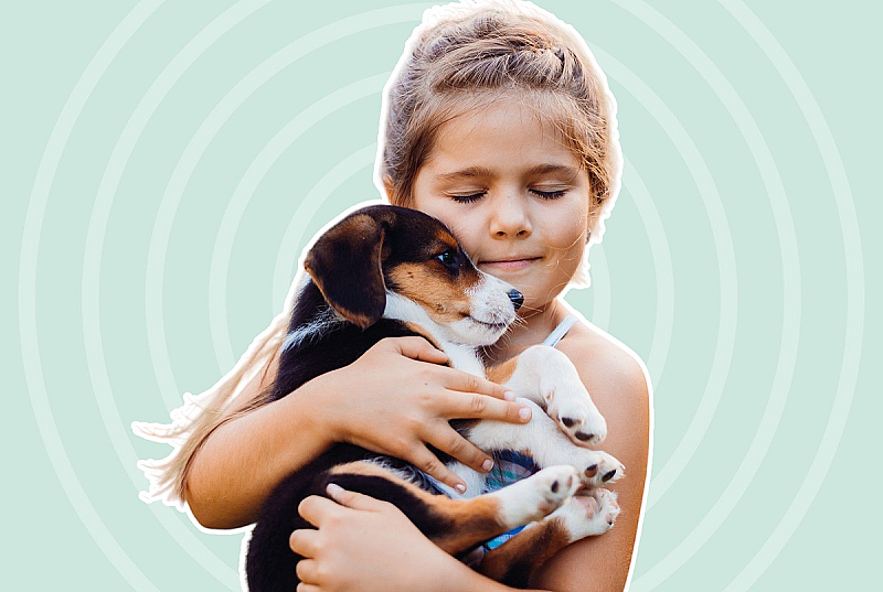 Без ревности и рисков: как подружить питомца и ребенка