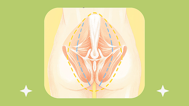 Мышцы тазового дна при беременности — упражнения Кегеля