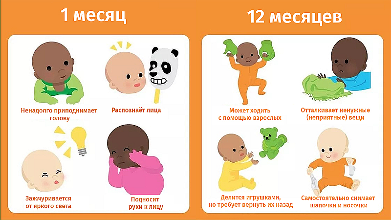 Простая инфографика: что должен уметь ребенок в течение первого года