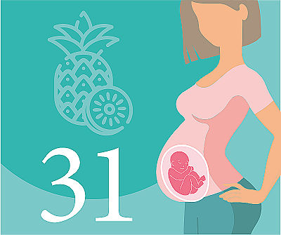 31-я неделя беременности