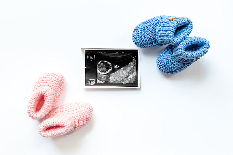 Сколько длится беременность