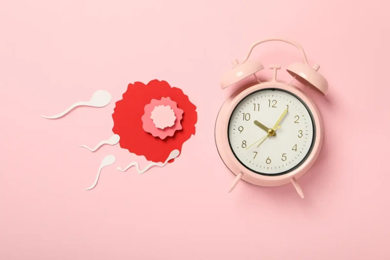 Как женщины замораживают яйцеклетки в России: три истории