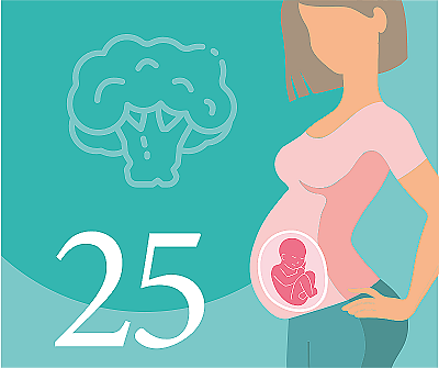 25-я неделя беременности — что происходит, развитие плода, ощущения