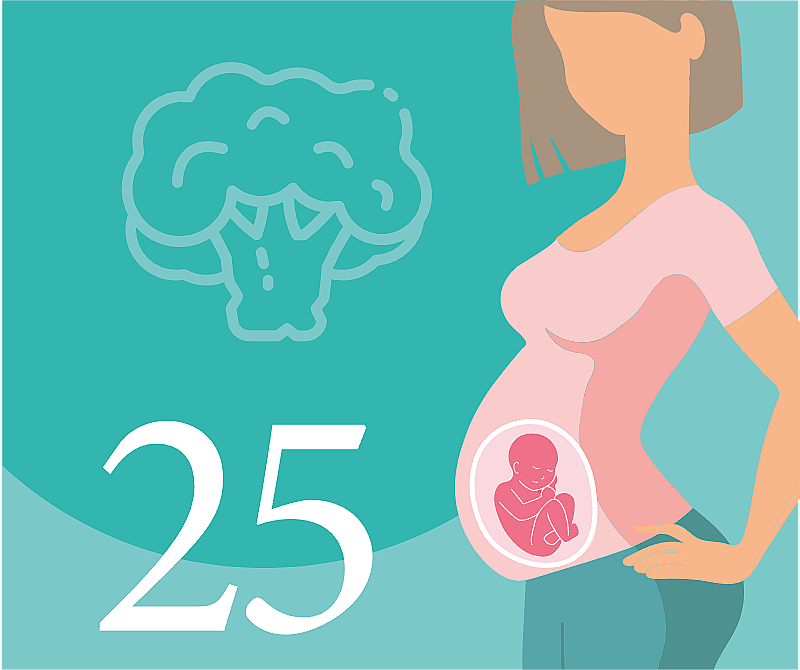 25-я неделя беременности — что происходит, развитие плода, ощущения