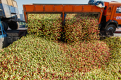 Проверено Мамой.ру: детские соки «ФрутоНяня»