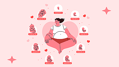 Второй триместр беременности