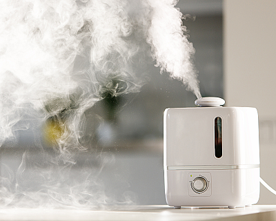 Увлажнитель воздуха зимой: действительно нужен или маркетинг?