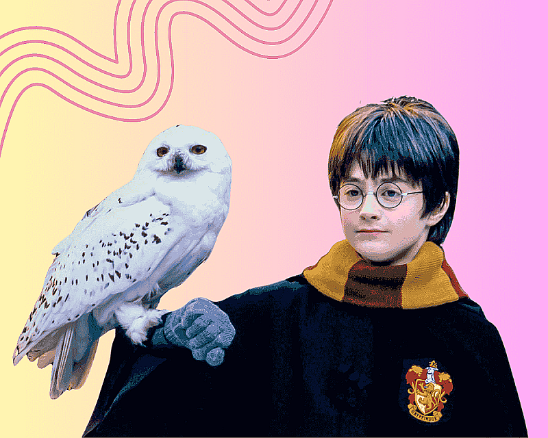 С какого возраста показывать «Гарри Поттера» детям: опыт мам и мнение психологов