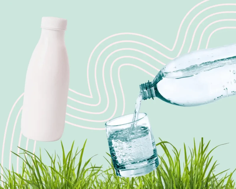 Маринад для шашлыка: 3 рецепта, которые не навредят ребёнку