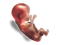 Гипоксия плода – признаки и последствия для ребенка