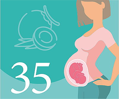 35-я неделя беременности — что происходит, развитие плода, ощущения