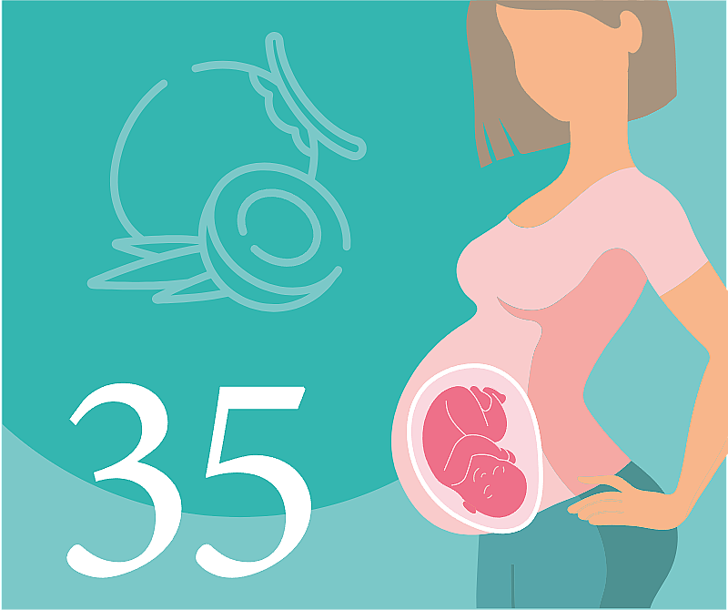 35-я неделя беременности — что происходит, развитие плода, ощущения