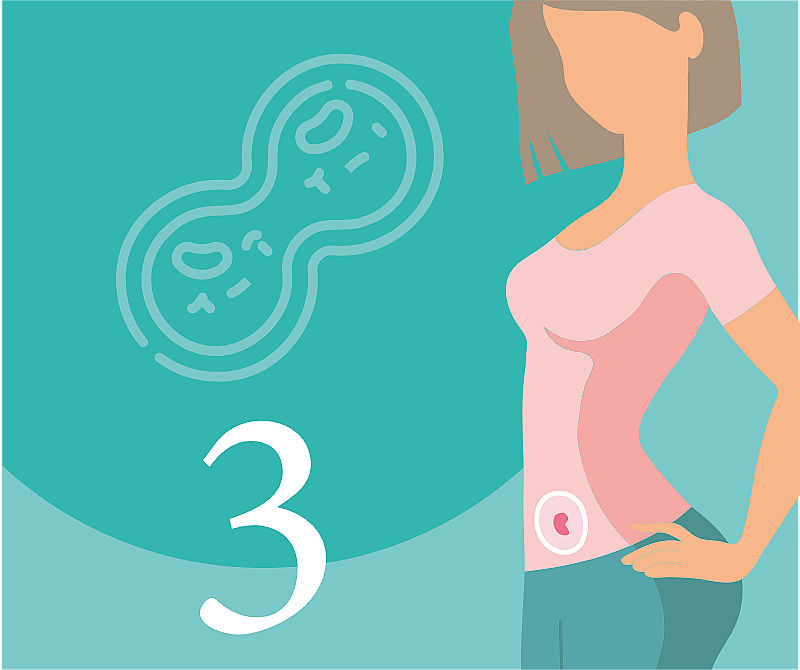 3-я неделя беременности: какого размера плод, какие ощущение и симптомы возникают