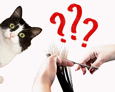 7 популярных убеждений о беременности: правда или миф?