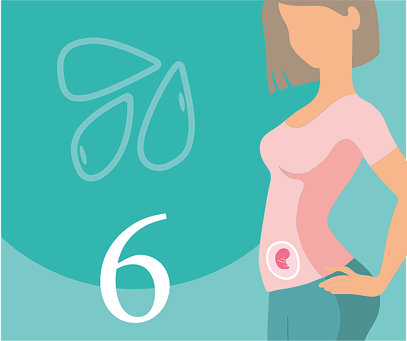 6 неделя беременности