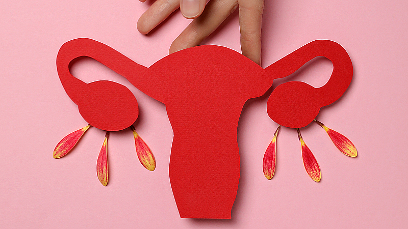 Длина шейки матки при беременности по неделям