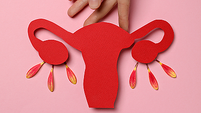 Длина шейки матки при беременности по неделям