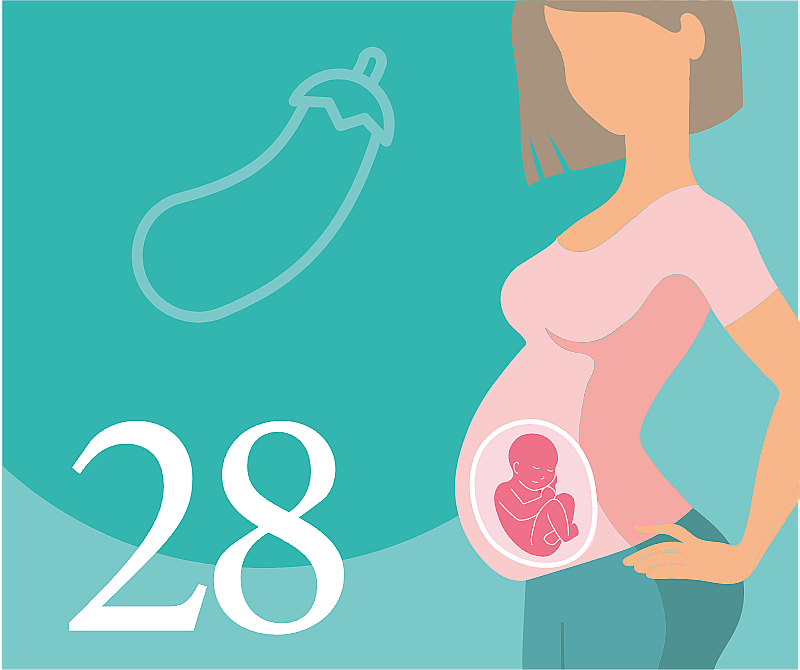 28 неделя беременности