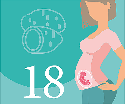 18-я неделя беременности