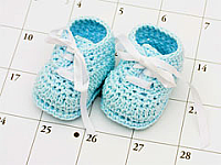 Срок беременности