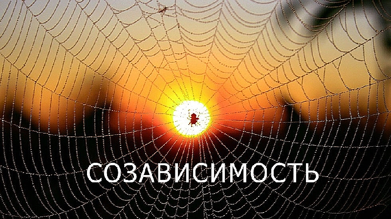 Если в семье есть зависимый