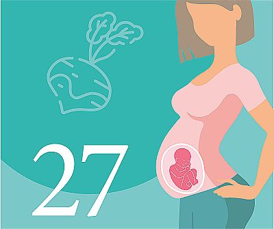 27-я неделя беременности: что происходит с мамой и малышом