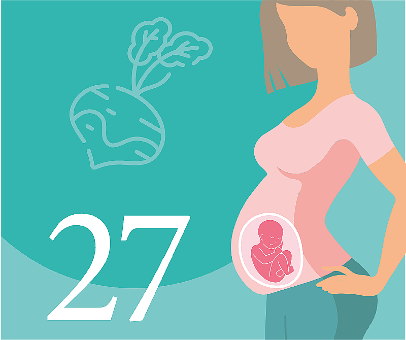 27-я неделя беременности: что происходит с мамой и малышом