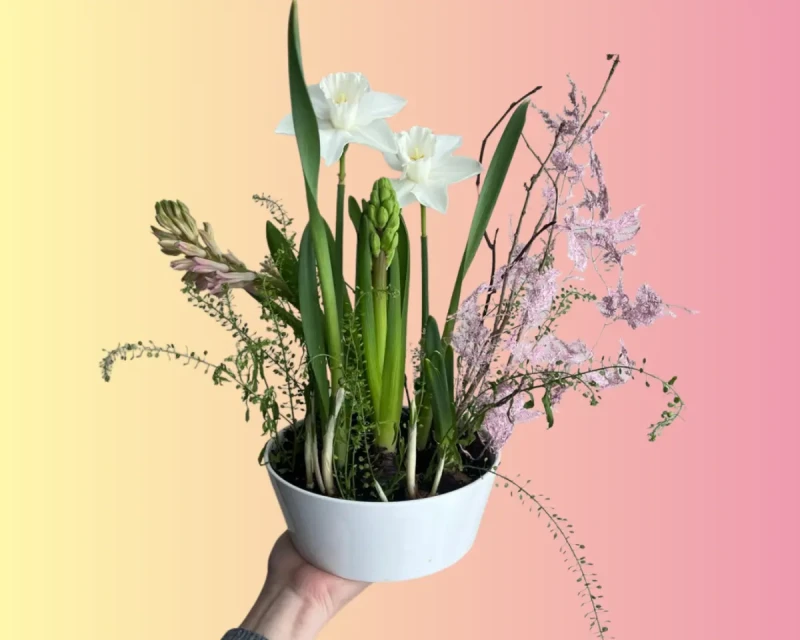Главный тренд весны 2026: 3 способа вырастить первоцветы дома