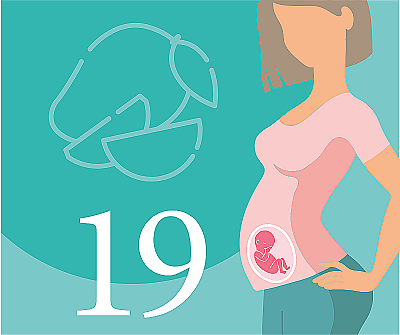 19-я неделя беременности