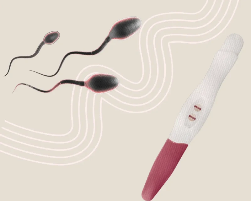 Долгое воздержание перед ЭКО может снижать шансы на зачатие