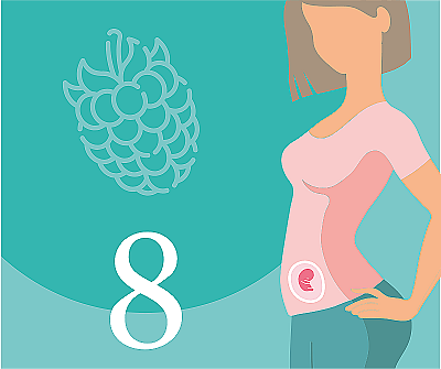 8-я неделя беременности