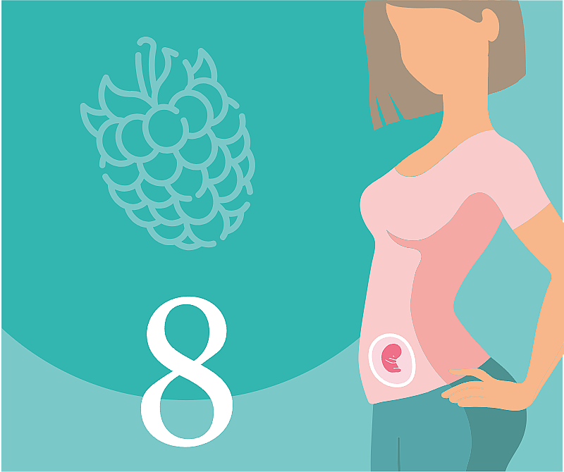 8-я неделя беременности