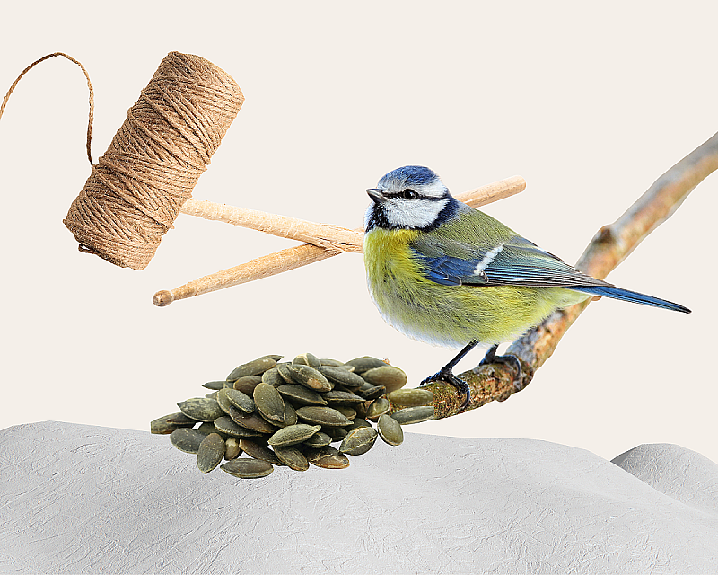 4 идеи, как сделать кормушку для птиц с ребёнком на каникулах