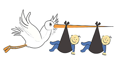 Ведение многоплодной беременности