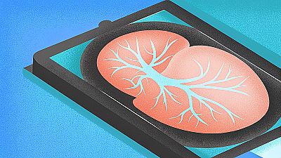 ХГЧ при беременности